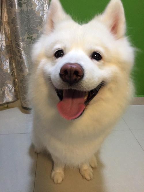 奔月探海逐梦……国企创新突围 大国重器彰显实力