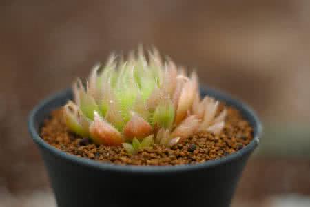 专访证监会首席律师:证券集体诉讼进展如何?