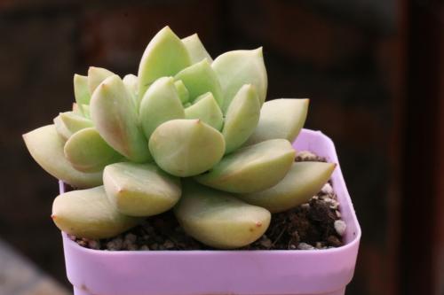 հ죺ˮϵȫͨ ˳ǡø˾