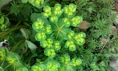 1500ÓàÈËÇÖ·¸ÉæÒß¹«Ãñ¸öÈËÐÅÏ¢±»·£ ¹«°²²¿·¢ÌáÐÑ