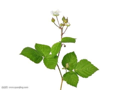 ´º½Úǰ¶¯Ì¬ÇåÁ㣡ÎÒ¹ú½«¶½´Ù½â¾öÅ©Ãñ¹¤Ç·Ð½