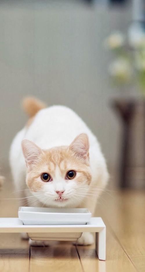 李尚福与日本防卫大臣通话 正式启用中日防务部门海空联络机制直通电话