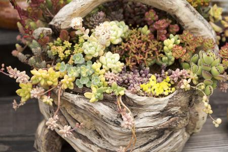 ɽһС5δůνģ31չů