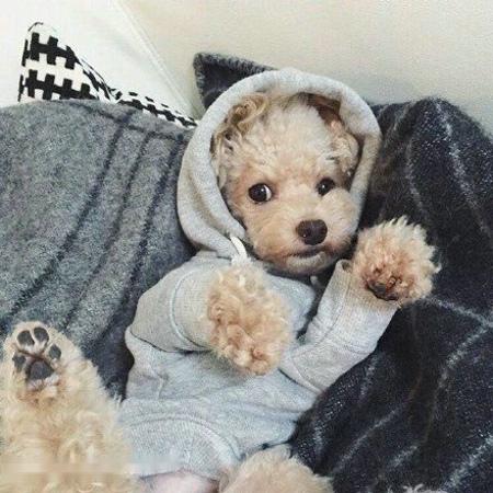 ¹«°²»ú¹ØÕì°ì3100ÓàÆðÇÖ·¸¹«Ãñ¸öÈËÐÅÏ¢ÐÌʰ¸